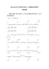2024-2025学年新疆乌鲁木齐市高二上学期期末联考数学检测试题（含解析）