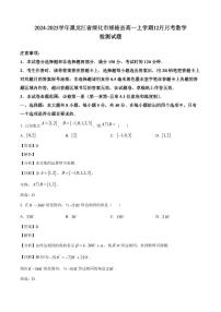 2024-2025學年黑龍江省綏化市綏棱縣高一上學期12月月考數(shù)學檢測試題（附解析）