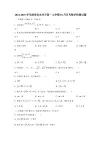 2024-2025学年湖南省永州市高一上学期10月月考数学检测试题（含解析）