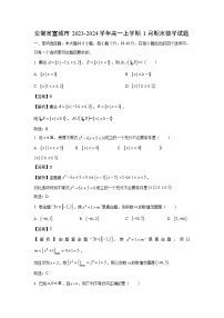 安徽省宣城市2023-2024学年高一（上）1月期末数学试卷（解析版）