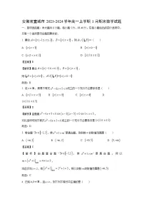 安徽省宣城市2023-2024学年高一（上）1月期末数学试卷（解析版）