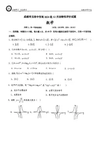 四川省成都市玉林中学2024-2025学年高一上学期12月诊断性评价数学试题