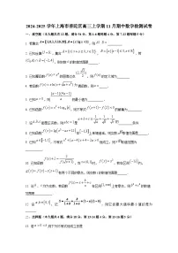 2024-2025学年上海市普陀区高三上册11月期中数学检测试卷