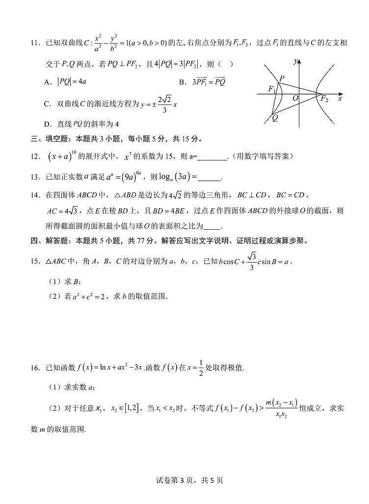湖北省荆州市沙市中学2025届高三上学期12月考-数学试题+答案第3页