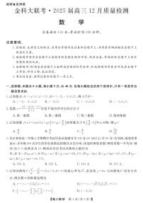 河南省金科新未来大联考2024-2025学年高三上学期12月质量检测数学试题