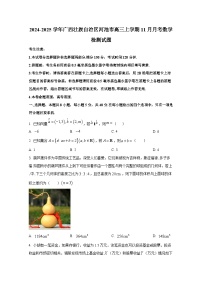 2024-2025学年广西壮族自治区河池市高三上册11月月考数学检测试题（含解析）