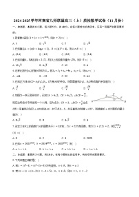 2024-2025学年河南省九师联盟高三（上）质检数学试卷（11月份）（含答案）