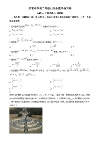浙江省杭州学军中学2024-2025学年高二上学期12月月考数学试题（Word版附解析）