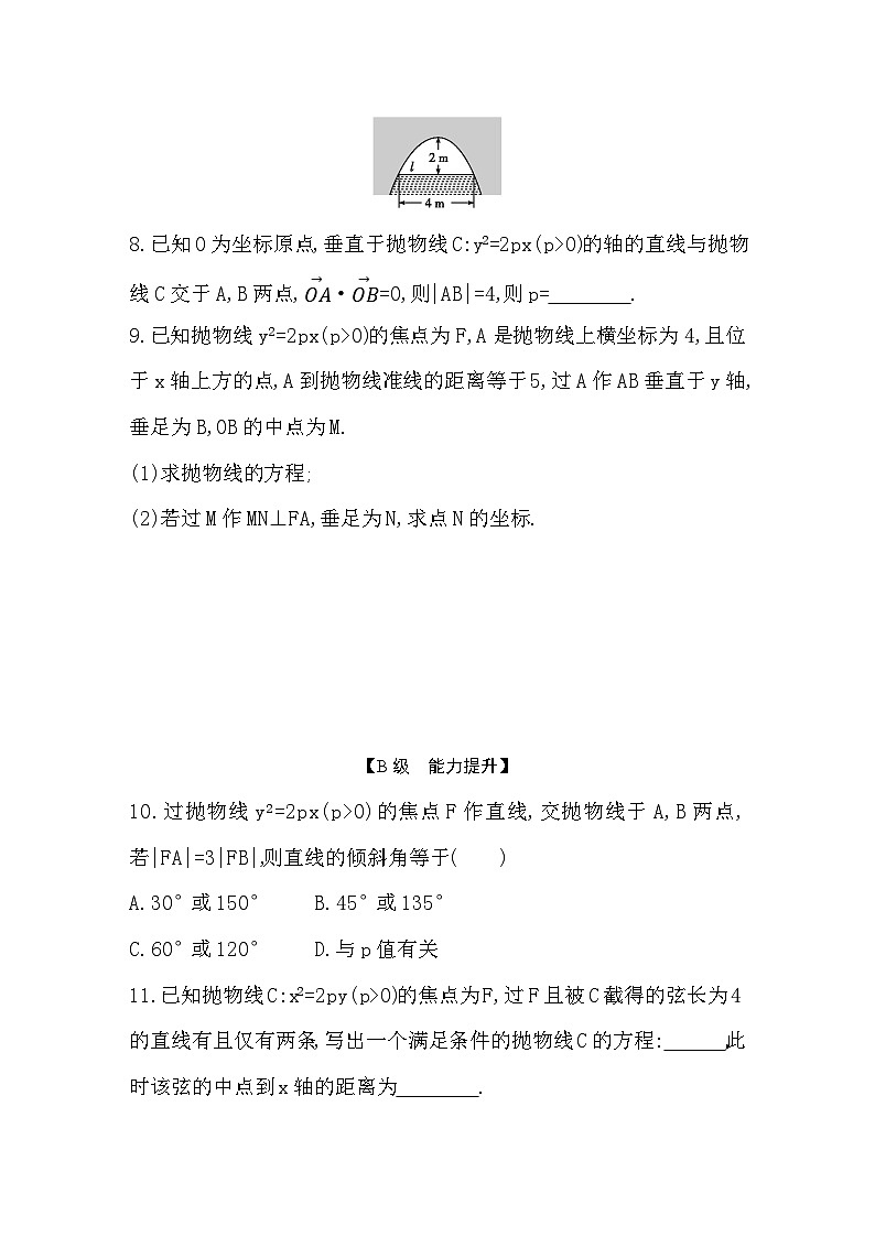 2025高考数学一轮复习-8.7-抛物线-专项训练【含答案】第2页
