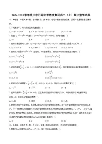 2024-2025学年重庆市巴蜀中学教育集团高二（上）期中数学试卷（含答案）