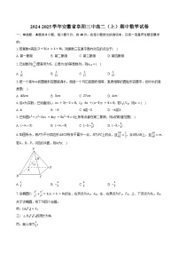 2024-2025学年安徽省阜阳三中高二（上）期中数学试卷（含答案）