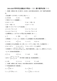 2024-2025学年河北省衡水中学高一(上)期中数学试卷(一)(含答案)