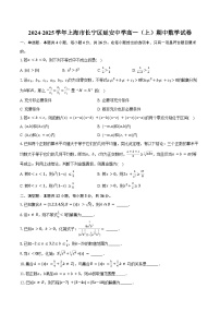 2024-2025学年上海市长宁区延安中学高一（上）期中数学试卷（含答案）