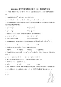 2024-2025学年河南省濮阳市高二（上）期中数学试卷（含答案）