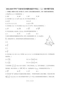 2024-2025学年广东省东莞市翰林高级中学高二（上）期中数学试卷（含答案）