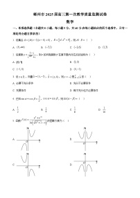 2025届湖南省郴州市高三上学期第一次教学质量监测数学试卷及参考答案