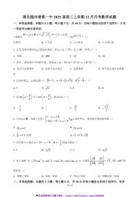 2025届湖北省随州市曾都区第一高级中学高三上12月联考(月考)数学试卷(含答案)
