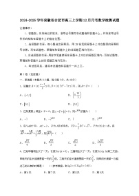 2024-2025学年安徽省合肥市高三上册12月月考数学检测试题（含解析）