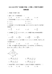 2024-2025学年广东省湛江市高二上学期11月期中考试数学检测试题（附解析）