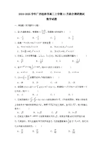 2024-2025学年广西桂林市高三上学期11月联合调研测试数学试题（附解析）