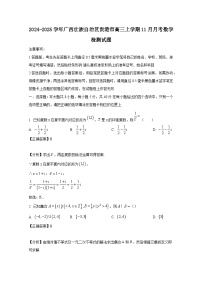 2024-2025学年广西壮族自治区贵港市高三上学期11月月考数学检测试题（附解析）