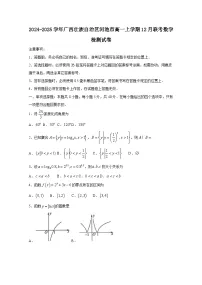 2024-2025学年广西壮族自治区河池市高一上学期12月联考数学检测试卷（附解析）