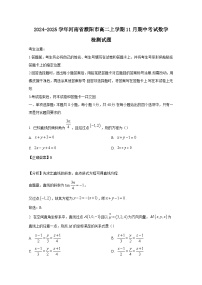 2024-2025学年河南省濮阳市高二上学期11月期中考试数学检测试题（附解析）