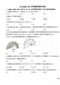 山东省莱州市第一中学2024-2025学年高二上学期第二次质量检测数学试题（PDF版附答案）