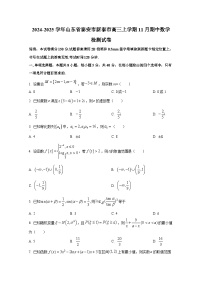 2024-2025学年山东省泰安市新泰市高三上册11月期中数学检测试卷
