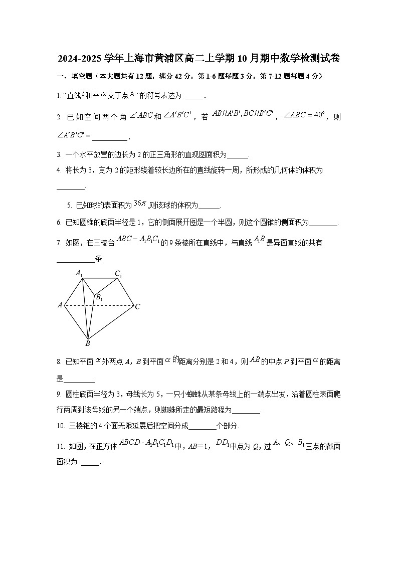 2024-2025学年上海市黄浦区高二上册10月期中数学检测试卷第1页