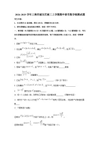 2024-2025学年上海市浦东区高三上册期中联考数学检测试题（含解析）