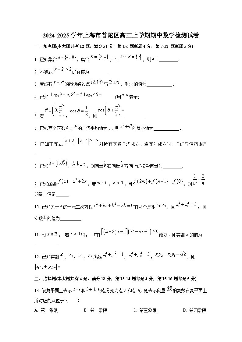 2024-2025学年上海市普陀区高三上册期中数学检测试卷第1页