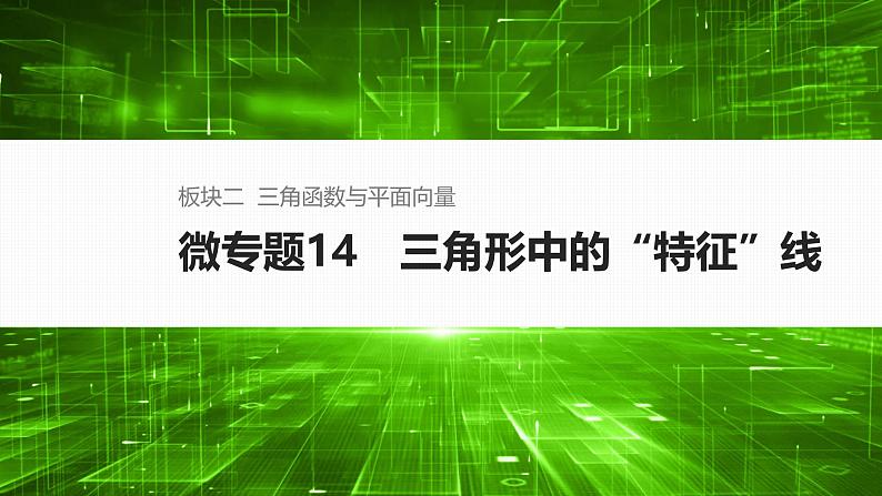 微专题14 三角形中的“特征”线第1页