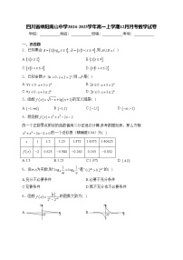 四川省绵阳南山中学2024-2025学年高一上学期12月月考数学试卷(含答案)