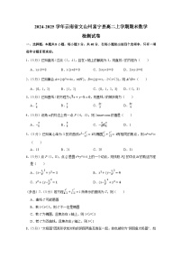 2024-2025学年云南省文山州富宁县高二上学期期末数学检测试卷（附解析）