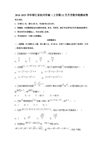2024-2025学年浙江省杭州市高二上学期12月月考数学检测试卷（附解析）