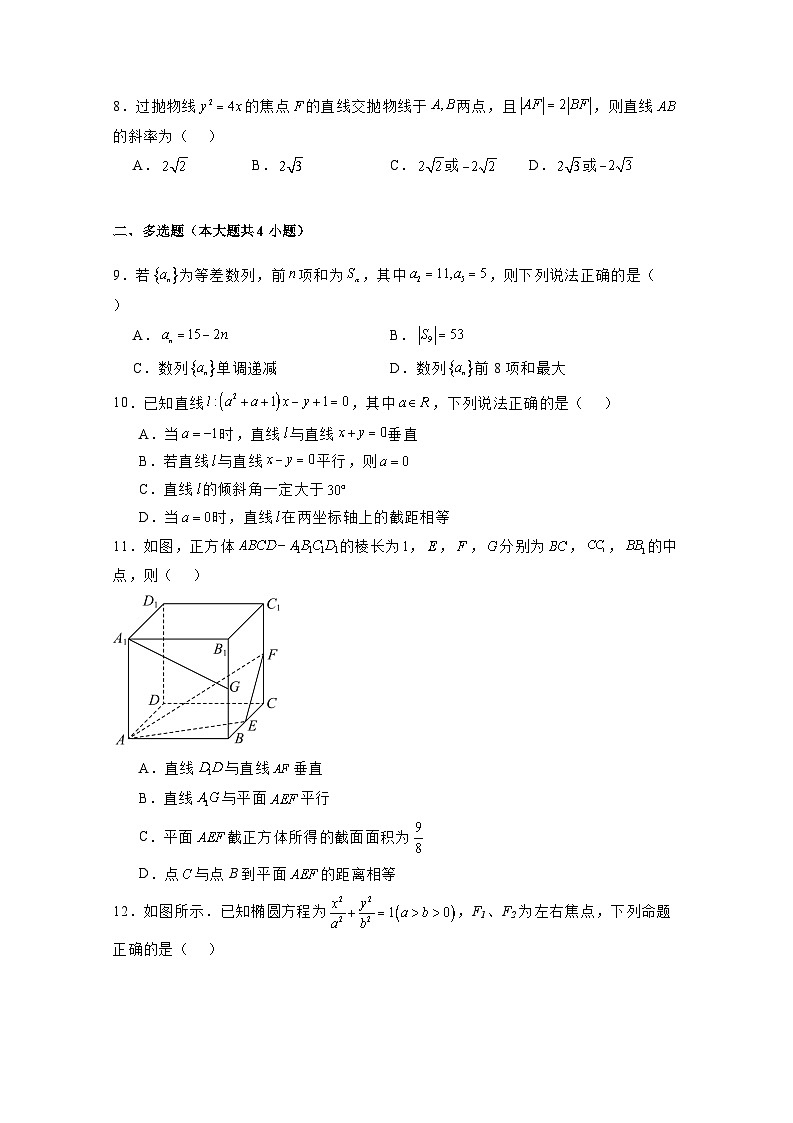 2024-2025学年广东省深圳市高二上学期期末考试数学检测试题(附解析)第2页