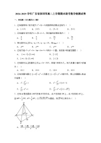 2024-2025学年广东省深圳市高二上学期期末联考数学检测试卷（附解析）