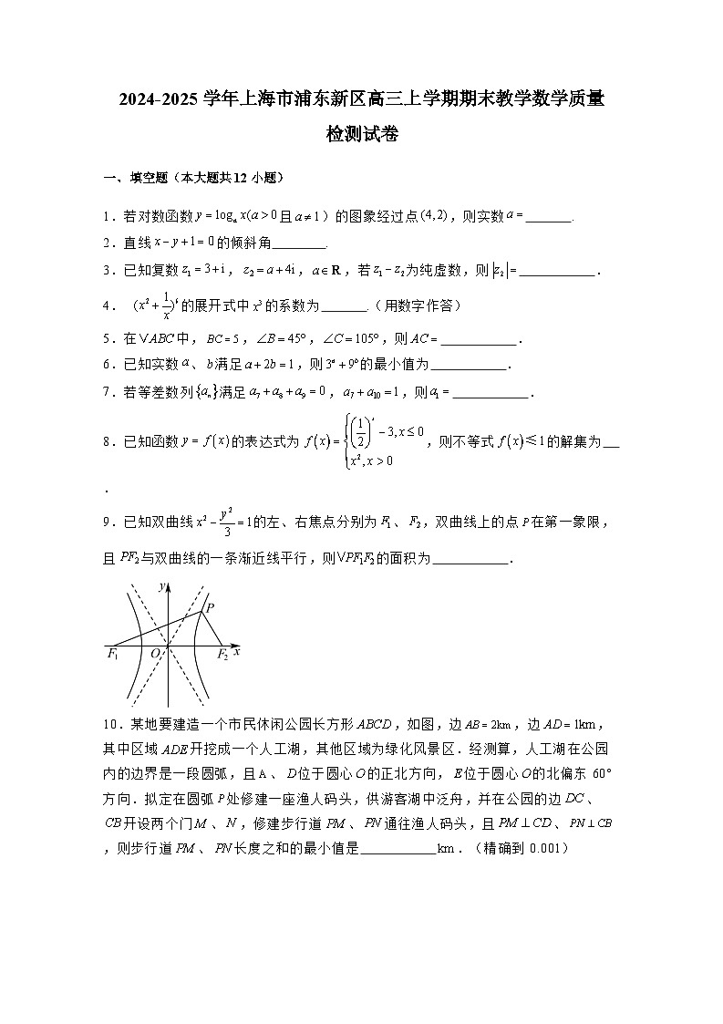 2024-2025学年上海市浦东新区高三上册期末教学质量检测数学检测试卷(附解析)第1页