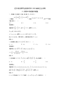 2025届辽宁省沈阳市五校协作体高三上学期11月期中考试数学试卷（解析版）