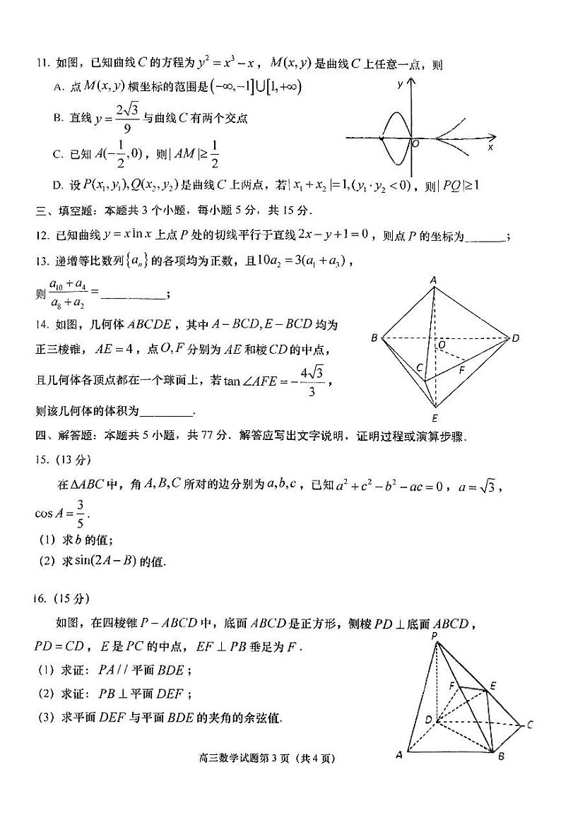 山东省青岛市2024-2025学年第一学期期末教学质量检测高三数学试题及答案第3页