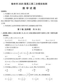 陕西省榆林市2025届高三上学期高考第二次模拟检测数学试题（含答案）