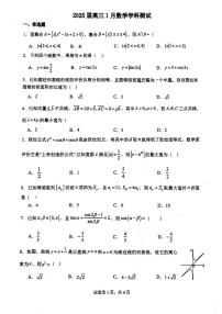 广东省广州市执信中学2025届高三上学期1月测试数学试卷