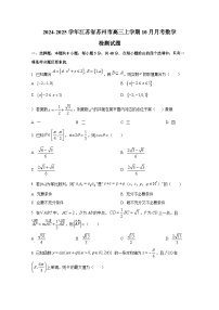 2024-2025学年江苏省苏州市高三上学期10月月考数学检测试题