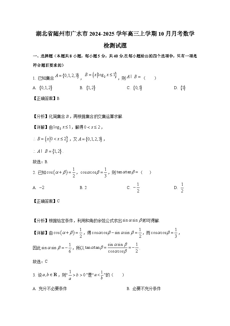 湖北省随州市广水市2024-2025学年高三上学期10月月考数学检测试题(附解析)第1页