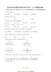 2024～2025学年黑龙江省哈尔滨九中高一上期末数学试卷(含答案)