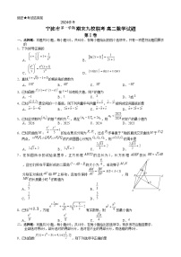 浙江省宁波市九校2024-2025学年高二上学期期末联考数学试题（Word版附答案）