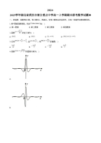 湖北省武汉市部分重点中学2024-2025学年高一上学期期末联考数学试卷（Word版附答案）