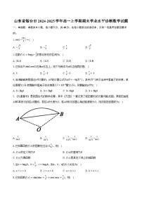山东省烟台市2024-2025学年高一上学期期末学业水平诊断数学试题
