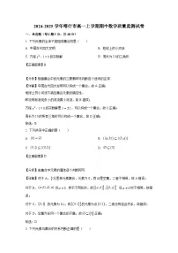 2024-2025学年新疆喀什市高一上册期中数学质量监测试卷(附解析)